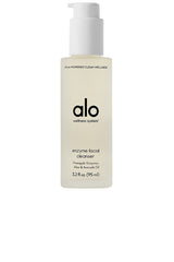 Enzyme Facial Cleanser