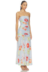 Solana Printed Mesh Maxi Dress