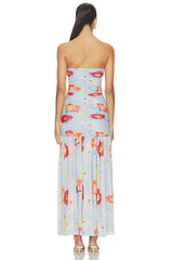 Solana Printed Mesh Maxi Dress