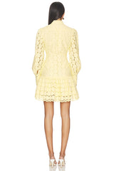 Remy Spot Lace Mini Dress