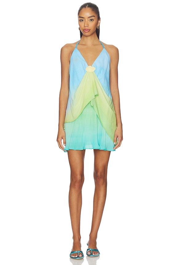 Cassis Mini Dress