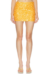 Solena Mini Skirt