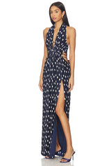 Aashvi Dress