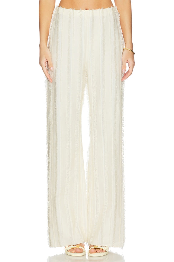 Ary Pant