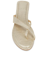Lenex Thong Sandal