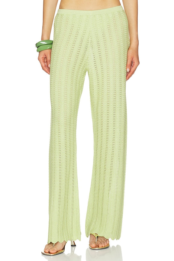 Gavi Pant