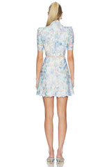 Kalissa A Line Mini Dress