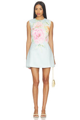 Harper Shift Mini Dress