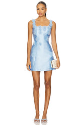 Elder Mini Dress
