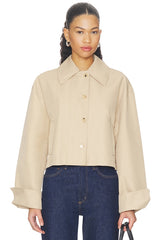 The Rue Cropped Trench