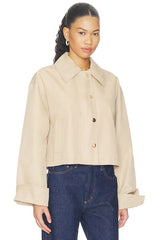 The Rue Cropped Trench