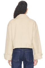 The Rue Cropped Trench