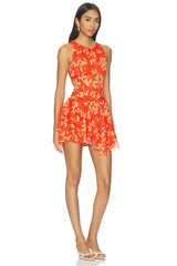 Raven Printed Mini Dress