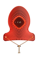 FAQ 221 Hand LED Anti-Aging Mask