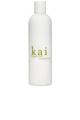 Conditioner