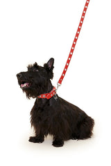 Ruby Flower Power Leash