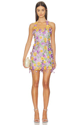 Tulle Pina Embroidered Mini Dress