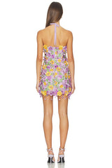 Tulle Pina Embroidered Mini Dress