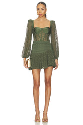 Sirena Mesh Long Sleeve Mini Dress