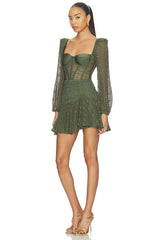 Sirena Mesh Long Sleeve Mini Dress