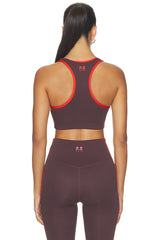 Stellar Sports Bra
