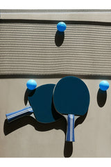 Ping Pong Portable Table Tennis