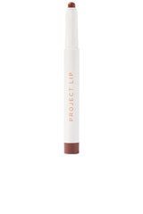 Lip Plump and Fill Up Liner