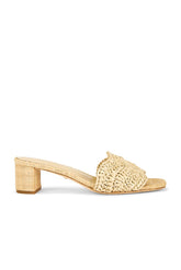 Rajesh Sandal