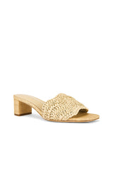 Rajesh Sandal
