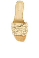 Rajesh Sandal