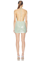 Tulip Sequin Dress