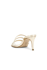 Inez Mule