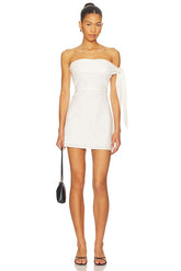 Jaymie Mini Dress