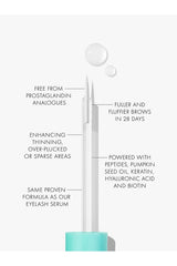The Brow Serum