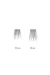 Long No Lash Cluster Duo