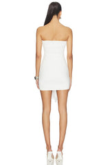 Rosy Mini Dress
