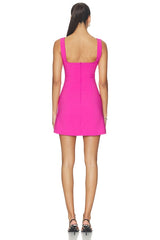 Aneira Mini Dress