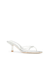 Dana Sandal