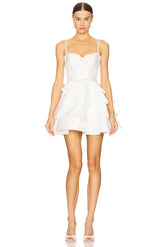 Luciana Corset Mini Dress