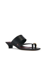 Stacy Sandal