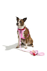 Standard Leash