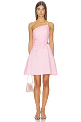 x REVOLVE Lena Dress
