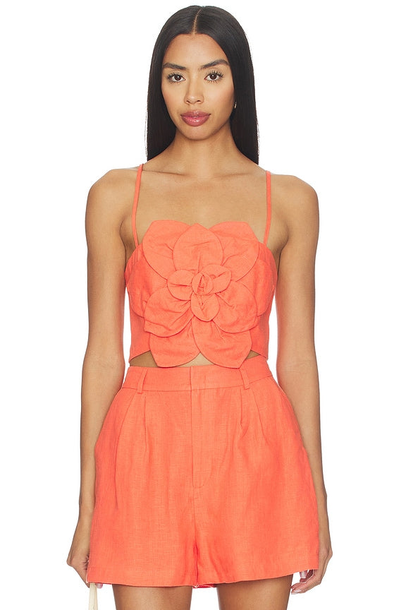 Sahara Top