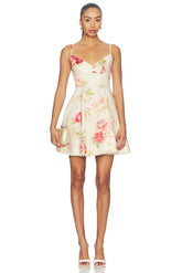 Roselight Picnic Mini Dress
