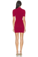 Tawny Mini Dress