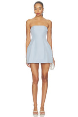 Nikola Strapless Mini Dress