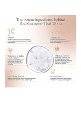 The Shampoo