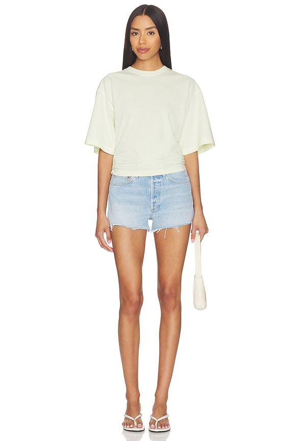 Parker Shorts
