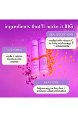 Big Hit Shampoo