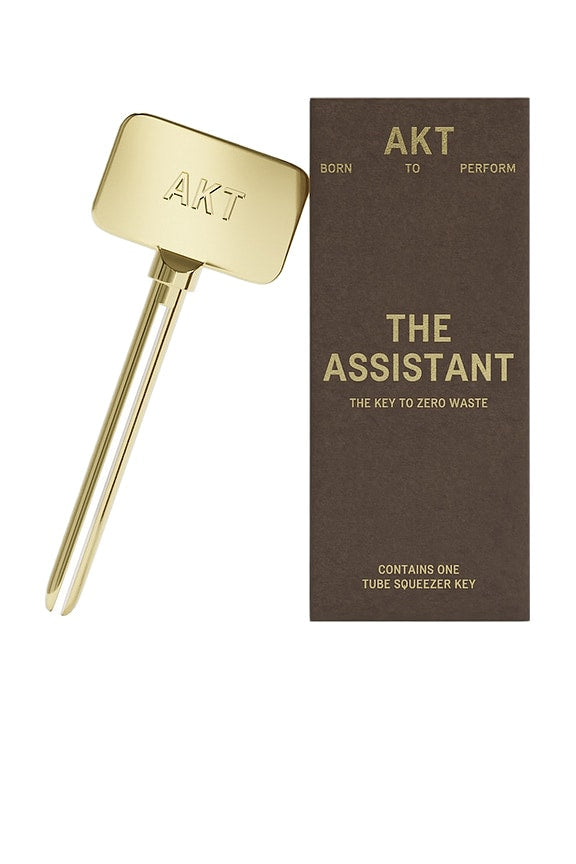 The Assistant